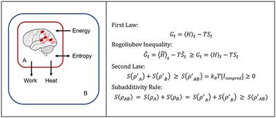 An energy-efficient process of non-deterministic computation drives the emergence of predictive models and exploratory behavior